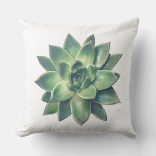 Coussin Plante grasse verte moderne et conviviale sur fond
