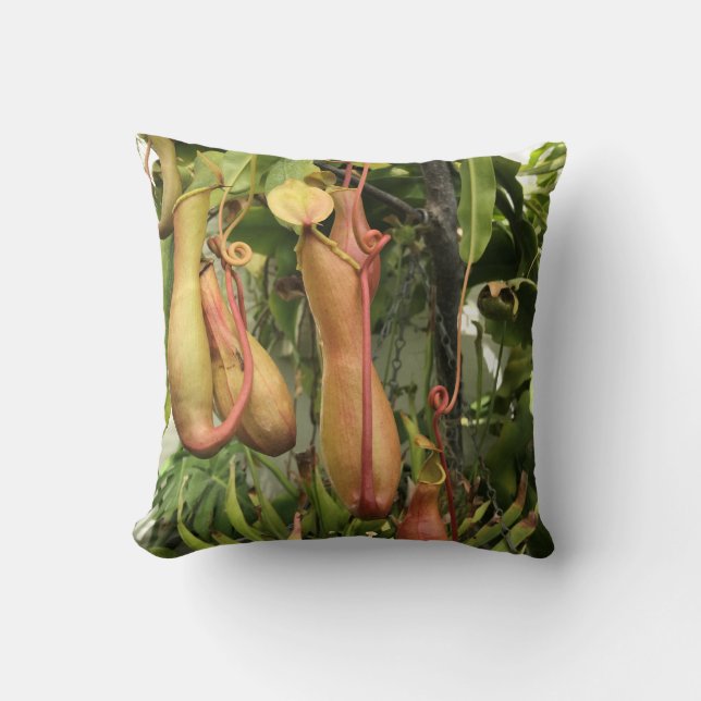Coussin Plante Tropical Pitcher (Recto)