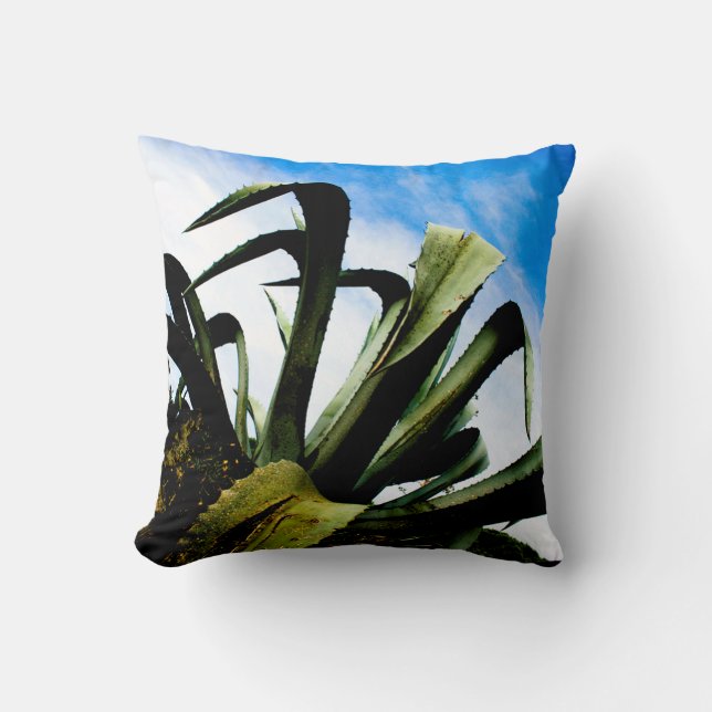 Coussin Plante vert en aloe avec ciel bleu clair (Recto)