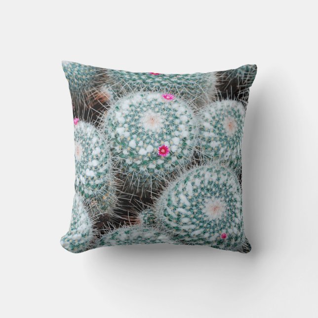 Coussin Plantes de cactus aux minuscules fleurs roses (Recto)