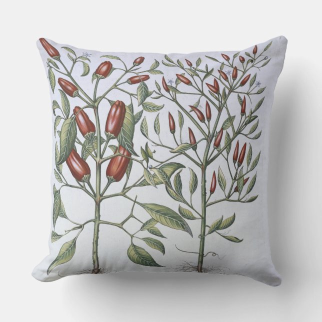 Coussin Plantes de poivre de piments, du 'Hortus (Recto)