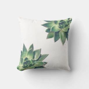 Coussin Plantes succulents verts sur blanc