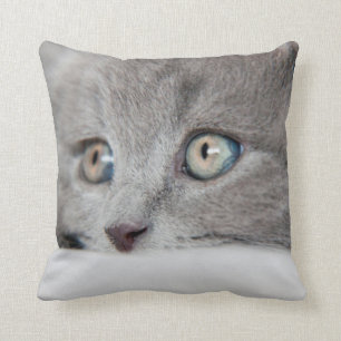 Coussin Plots réflectorisés