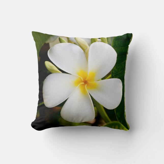 Coussin Plumeria (Recto)