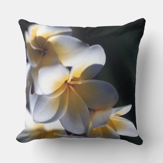 Coussin Plumeria (Recto)