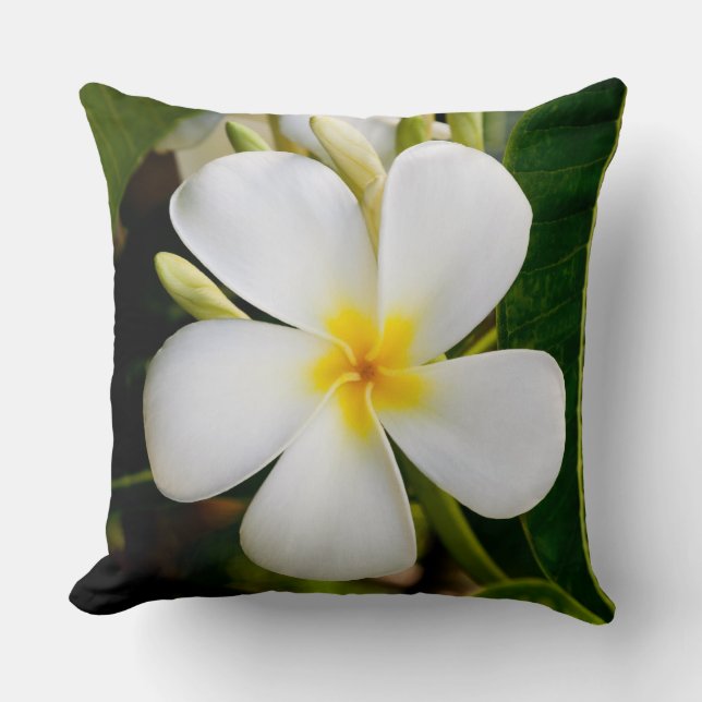 Coussin Plumeria blanche, Hawaii (Recto)