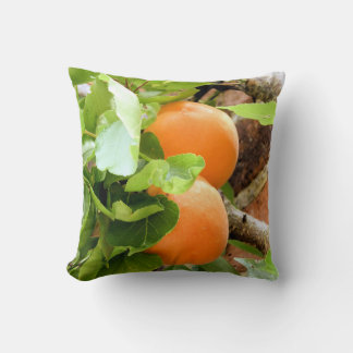 COUSSIN PLUMES