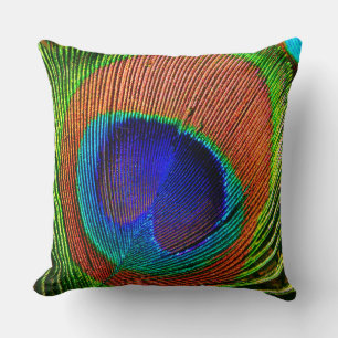 Coussin Plumes de paon 6B