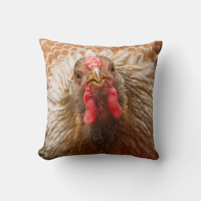 Coussin Plumes d'or - poule de poulet de Wynadotte (Recto)