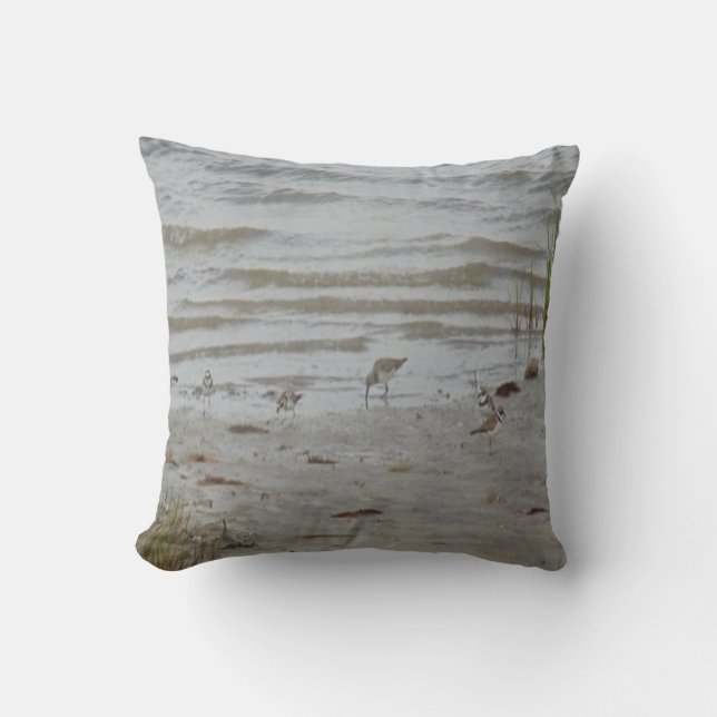 Coussin pluvier sifflant et killdeer de la photo #19- (Recto)