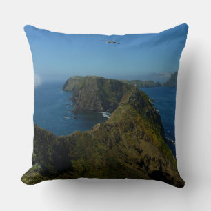 Coussin Point d'inspiration I d'Anacapa aux îles Anglo-Nor