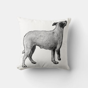 Coussin Points De Rue, Tête Vers Le Haut