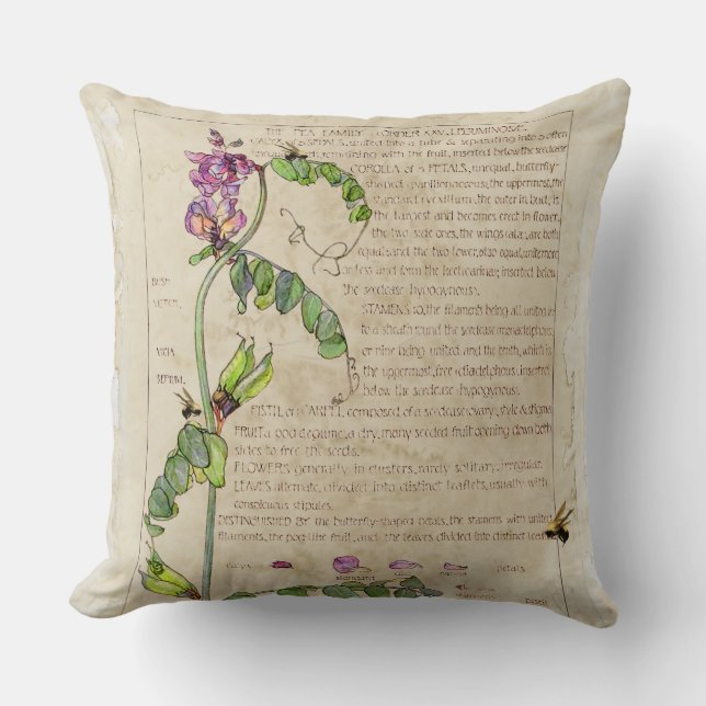 Coussin Pois doux d'éphémères (Recto)