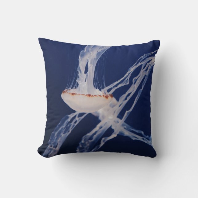 COUSSIN POISSON BLANC (Recto)