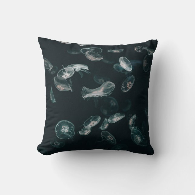 COUSSIN POISSON BLANC ET NOIR SUR L'EAU (Recto)