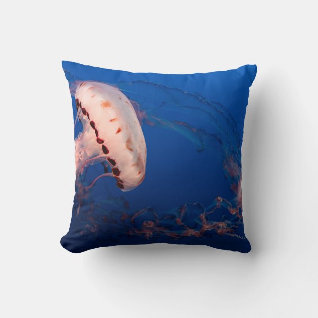 COUSSIN POISSON BLANC ET ORANGE (Recto)