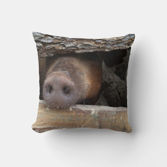 Coussin Poisson Brown de cochon Nez à travers la clôture r (Recto)