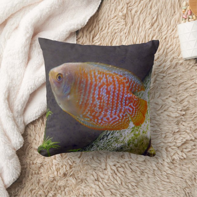 Coussin Poisson nain Gourami (Couverture)