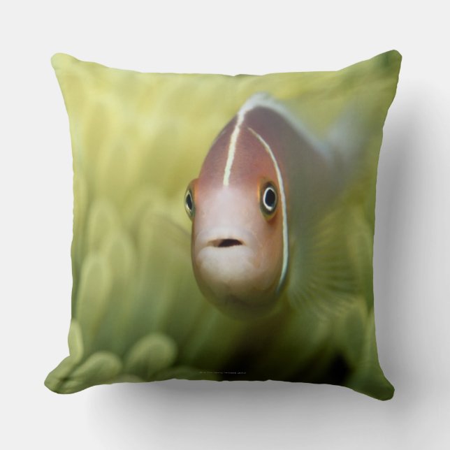 Coussin Poissons d'anémone roses (Recto)