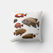 poissons multicolores