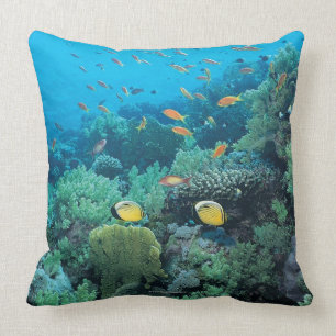 Coussin Poissons tropicaux nageant au-dessus du récif