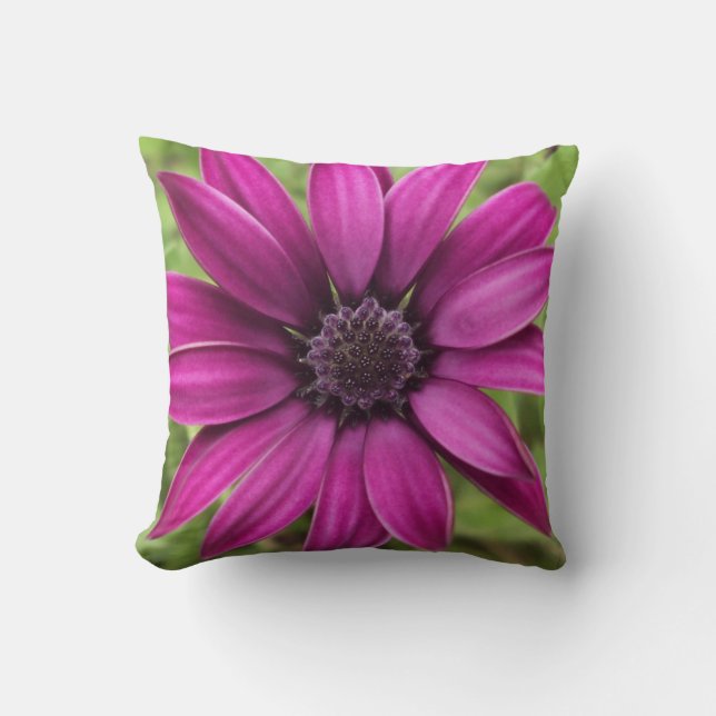 Coussin Polymère pourpre (Recto)