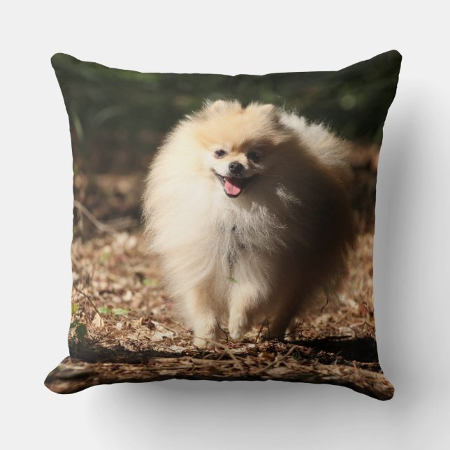 Coussin Pomeranian trottant dans le feuille tombé (Recto)