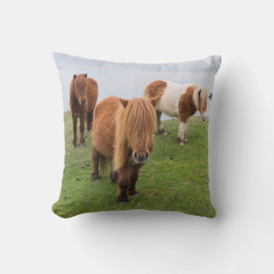 Coussin Poney Shetland sur le pâturage près de hautes fala