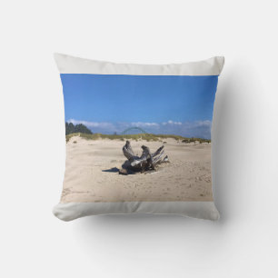 Coussin Pont de la baie de Yaquina, Newport, Oregon