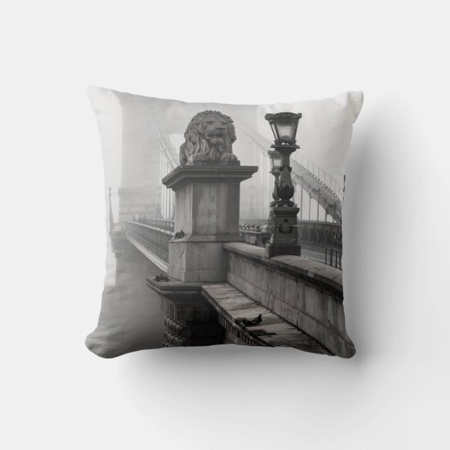 COUSSIN PONT DE LA CHAÎNE, BUDAPEST (Recto)
