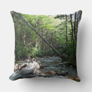 Coussin Pont de la rivière Pemigewasset dans le New Hampsh