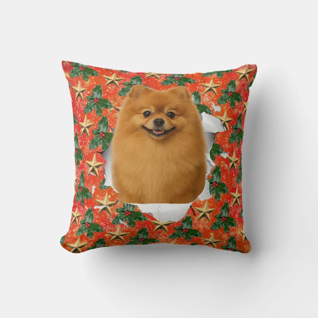 Coussin pop-out personnalisable pour animaux de co (Recto)