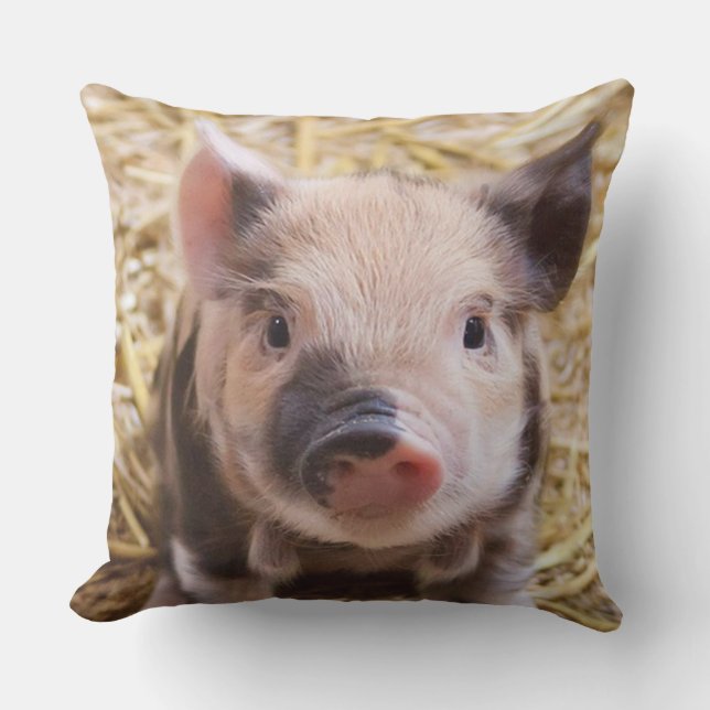 Coussin Porcelet doux (Recto)