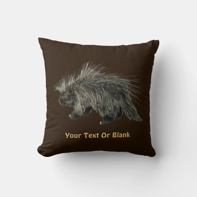 Coussin Porcupine (Recto)