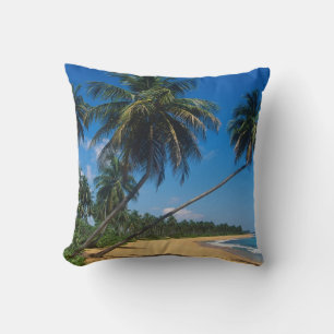 Coussin Porto Rico, Isla Verde, palmiers
