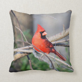 Coussin Portrait cardinal