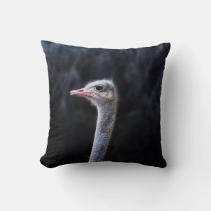 Coussin portrait d'autruche
