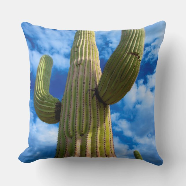 Coussin Portrait de cactus saguaro, Arizona (Recto)