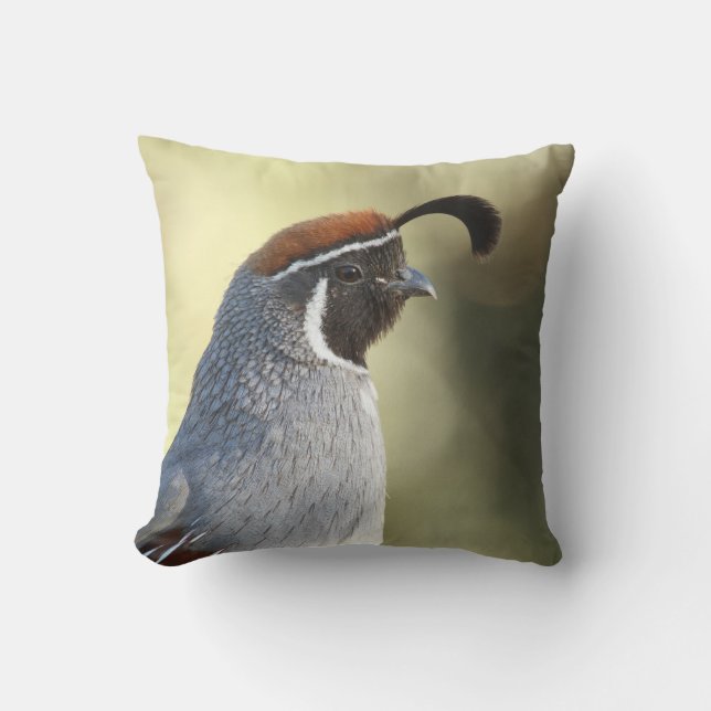 Coussin Portrait de caille mâle (Recto)