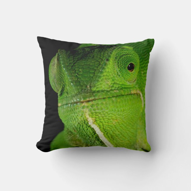 Coussin Portrait de caméléon à nuque flottante (Recto)