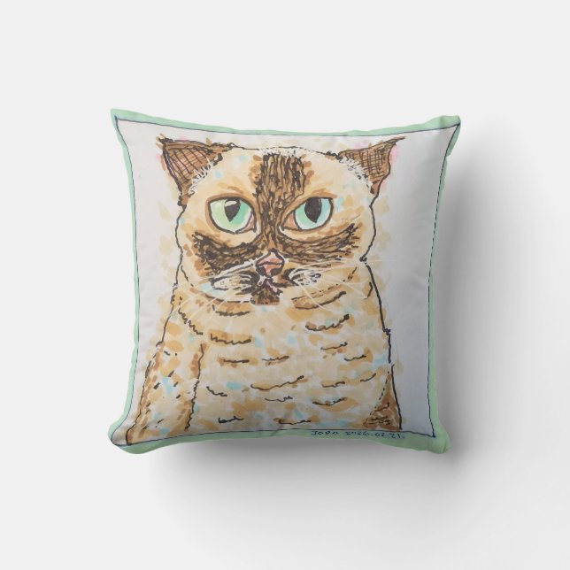 Coussin Portrait de Chat Fantaisiste Coloré (Recto)