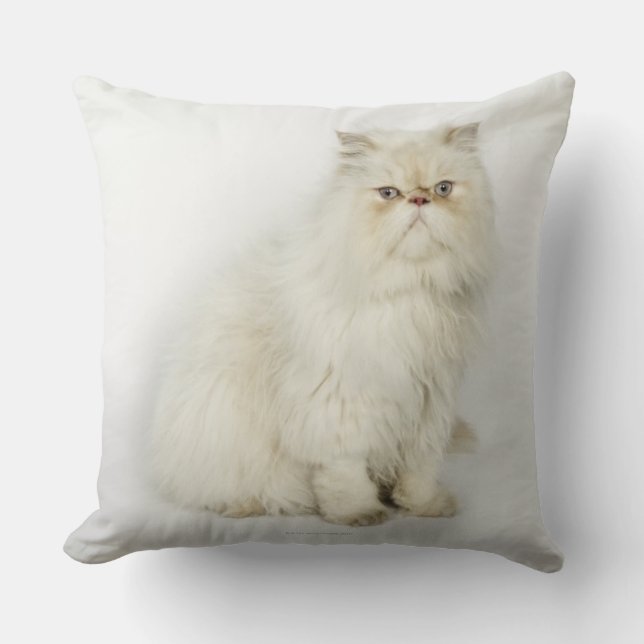 Coussin Portrait de chat persan (Recto)