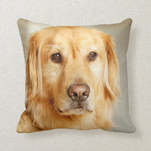 Coussin Portrait de Golden Retriever