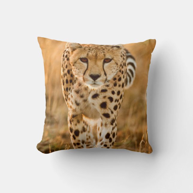 Coussin Portrait de guépard (Acinonyx Jubatus), Maasai (Recto)