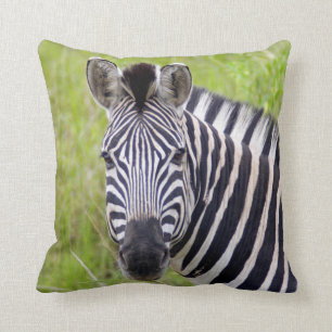 Coussin Portrait de Plains Zebra, Hluhluwe-Umfolozi Game