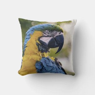 Coussin Portrait de profil de perroquet photographié