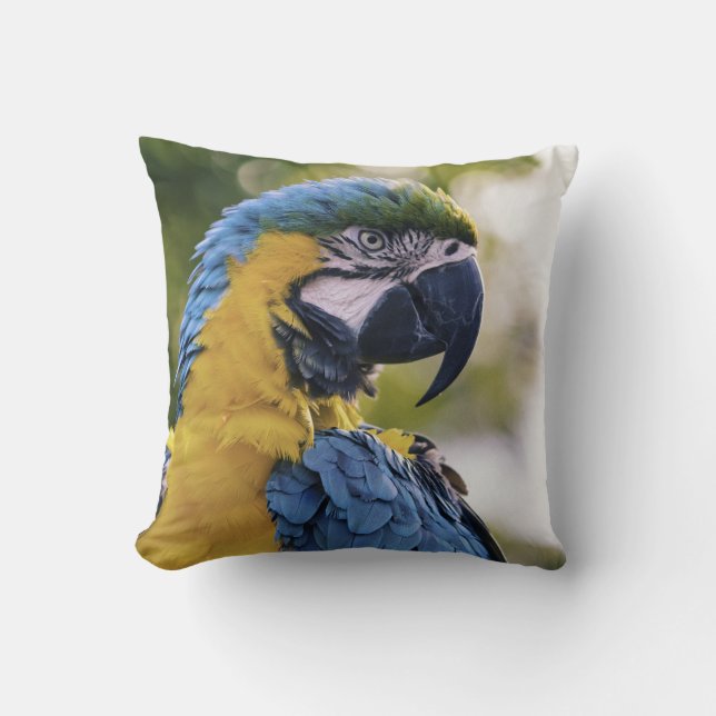Coussin Portrait de profil de perroquet photographié (Recto)