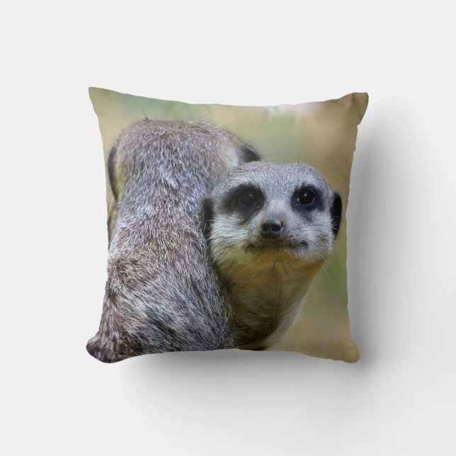Coussin Portrait de suricates ou de suricates (Recto)