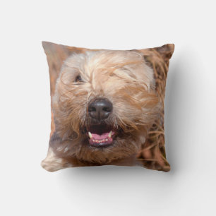 Coussin Portrait de Terrier Wheaten à poil doux