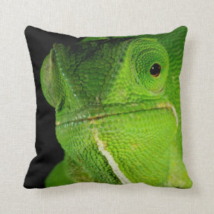 Coussin Portrait Du Chameleon À Cou-Volant